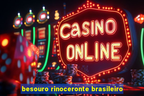 besouro rinoceronte brasileiro